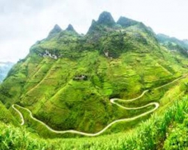 Adventure to Ha Giang - Hoang Su Phi: 2 Days 1 Night