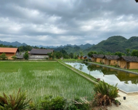 Ha Giang - Hoang Su Phi Tour 3 Days 2 Nights