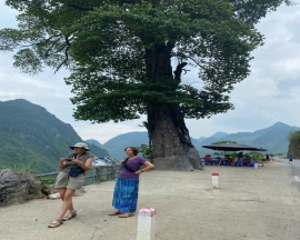 Ha Giang Loop Tour 3 Days 2 Nights