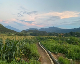 Ha Giang Loop Tour 4 Days 3 Nights