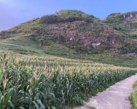 Ha Giang Loop Tour 5 Days 4 Nights